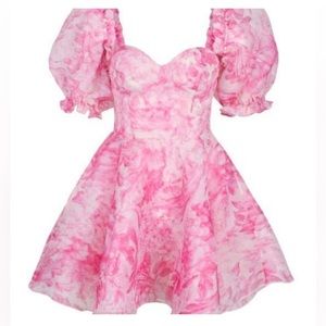 Selkie the babydoll toile parliament Dress